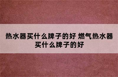 热水器买什么牌子的好 燃气热水器买什么牌子的好